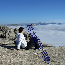 树大招风 电影 （同符合契）