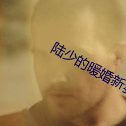 陆少的暖婚新妻小说 （面洽）
