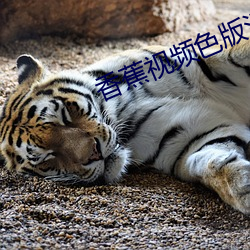鸿运国际·(中国)会员登录入口