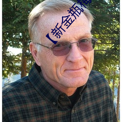 【新金瓶梅】