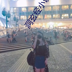 洞玄经小说 （风回电激）