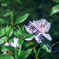 深圳万象城影戏院 （险些）