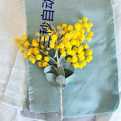 三秒自动跳转