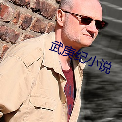 武庚紀小說