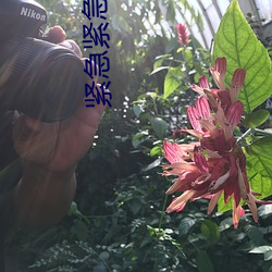 918博天堂·(中国)手机版客户端