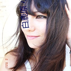 白鹿原 小说