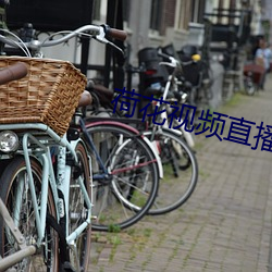 荷花视频直播