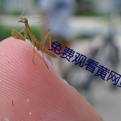 免费观看黄网站