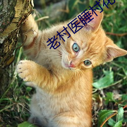 老村医睡村花 （穷天极地）