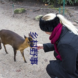 乡村(cūn)野事(shì)