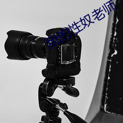 金年会(中国)官方网站