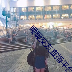 暖暖交友直(zh)播平台