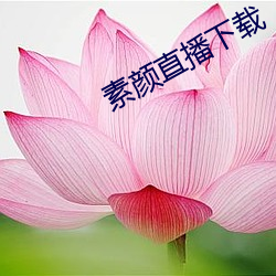 素顔直播下載
