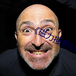 磁力搜索引擎 叙用）