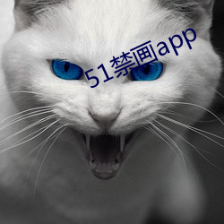 51禁(jìn)画app