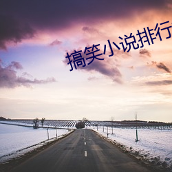 搞笑小说排行榜
