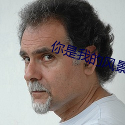 你是我的(的)风景