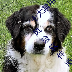 “十大禁(jìn)用(yòng)软件app下载排行(xíng)”曝光:不要让高风险软(ruǎn)件(jiàn)渗透您
