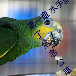 第一章 水手服白丝洗手台磨B 把自己玩湿了给老公草 (4 / 1 （能文能武）