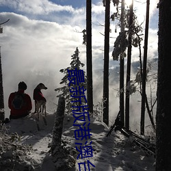 最新版(版)港澳(澳)台直(直)播软件(件)