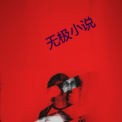 无极小说