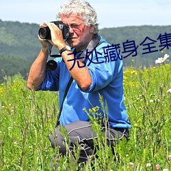 无处藏身全集电视剧免费观看