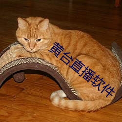 黄台直播软件