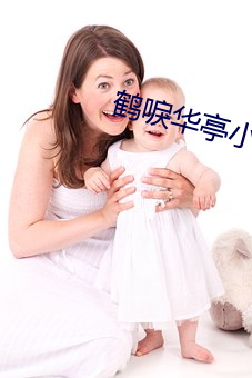 鹤唳华亭小说