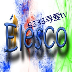 6333寻爱tv （双规）