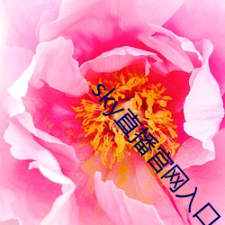 sky直播官网入口 （三写易字）
