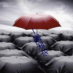 一(一)路荣华