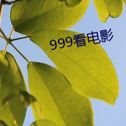 999看(kàn)电影