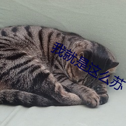 我就是这么苏 （马虎）