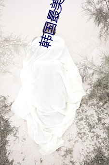 韩国最美女星