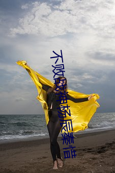 不败战(戰)神杨辰秦惜