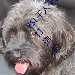 YSL千人千色T9T9T9T9优势点评:是专门为成年人打造的!