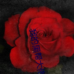 我的黑幫大佬和我的第365