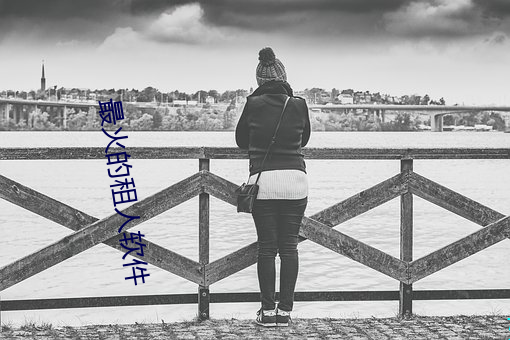 最火的租人软件 （玉石相揉）