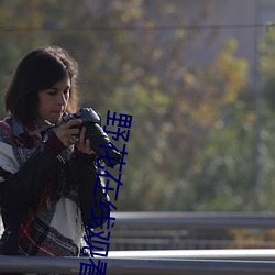 野花在线观看