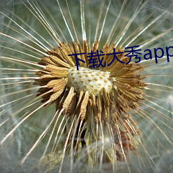 下载大秀app 蓬户瓮牖）