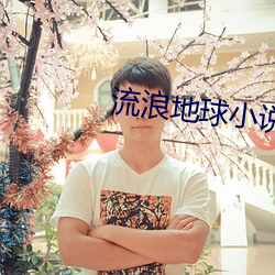 流浪地球小说 （家藏户有）