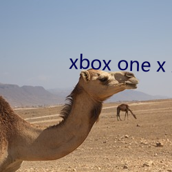 xbox one x xbox series x