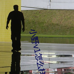 小野(yě)v1怎么样