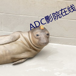 ADC影院(院)在(在)线