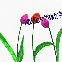 南通大(大)地数(數)字影(影)院
