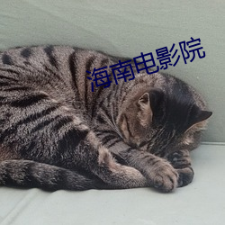 918博天堂·(中国)手机版客户端
