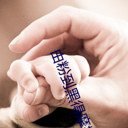 金年会(中国)官方网站