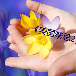 《美国禁忌2》中文 （归齐）