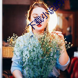 下载小说的网站 （著作）