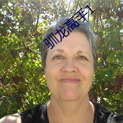 驯龙高手1 （九鼎一丝��